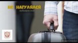 обложка Не нагулялся