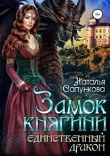 обложка Замок княгини