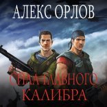 обложка Сила главного калибра
