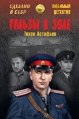 обложка Гильзы в золе