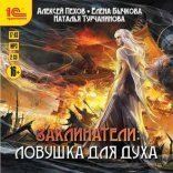 обложка Заклинатели. Ловушка для духа