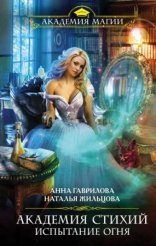 обложка Академия Стихий 3. Испытание Огня