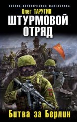 обложка Штурмовой отряд. Битва за Берлин