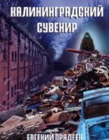 обложка Винни Пух 3. Калининградский сувенир - Евгений Прядеев