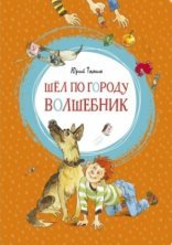 обложка Шел по городу волшебник