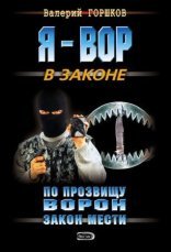 обложка По прозвищу Ворон 1. Закон мести