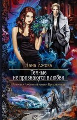 обложка Воины ордена Кромешной Тьмы 2. Страж Вьюги и я