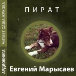 обложка Пират