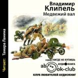 обложка Медвежий вал